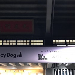 Saucy Dog 「リベンジエピソード」日本武道館 2021.2.6