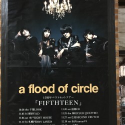 a flood of circle 「15周年ベストセットツアー”FIFTHTEEN”」 千葉LOOK 2021.10.28