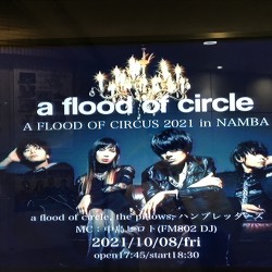 a flood of circle presents A FLOOD OF CIRCUS 2021 in NAMBA なんばHatch 2021.10.8