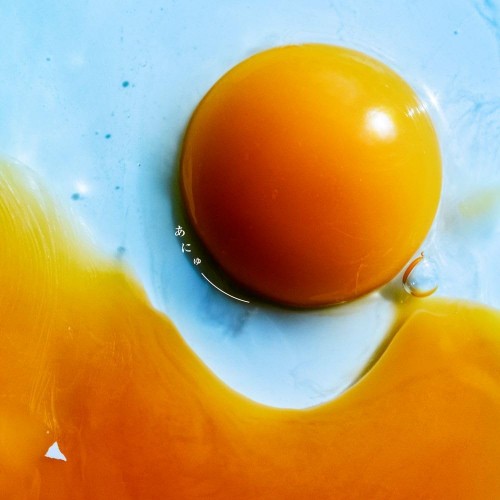 51Ic5IXHChL._AC_SL1000_